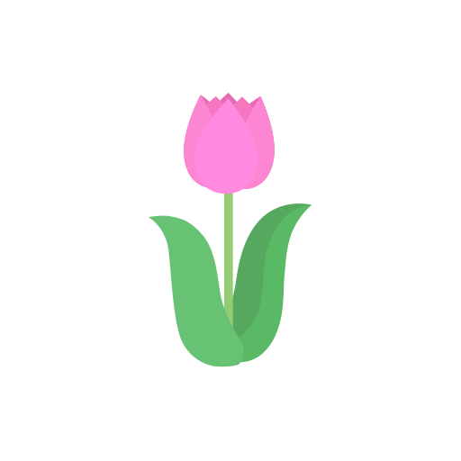 tulip