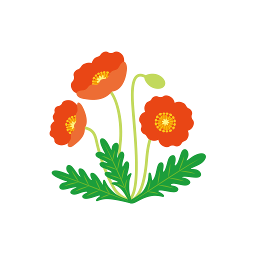 poppy