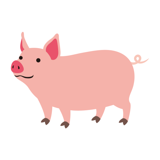 pig