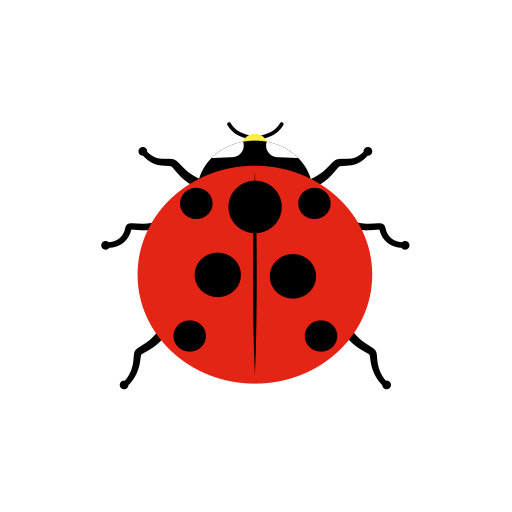 ladybug