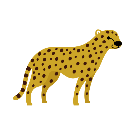 cheetah