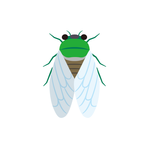 cicada