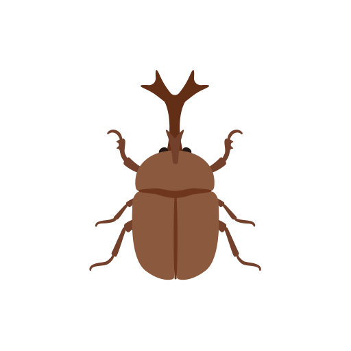 beetle