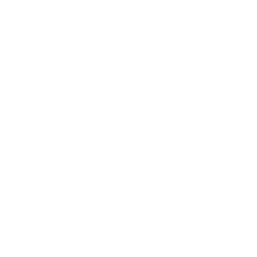 spiderweb