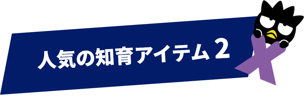 人気の知育アイテム 2