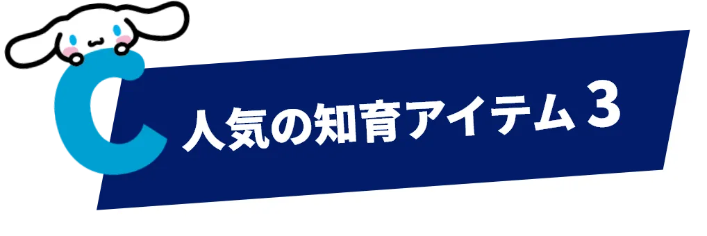 人気の知育アイテム 3