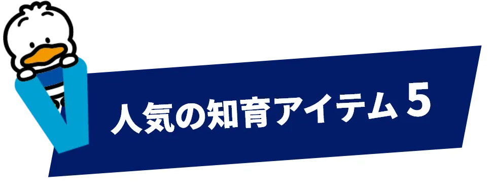 人気の知育アイテム 5