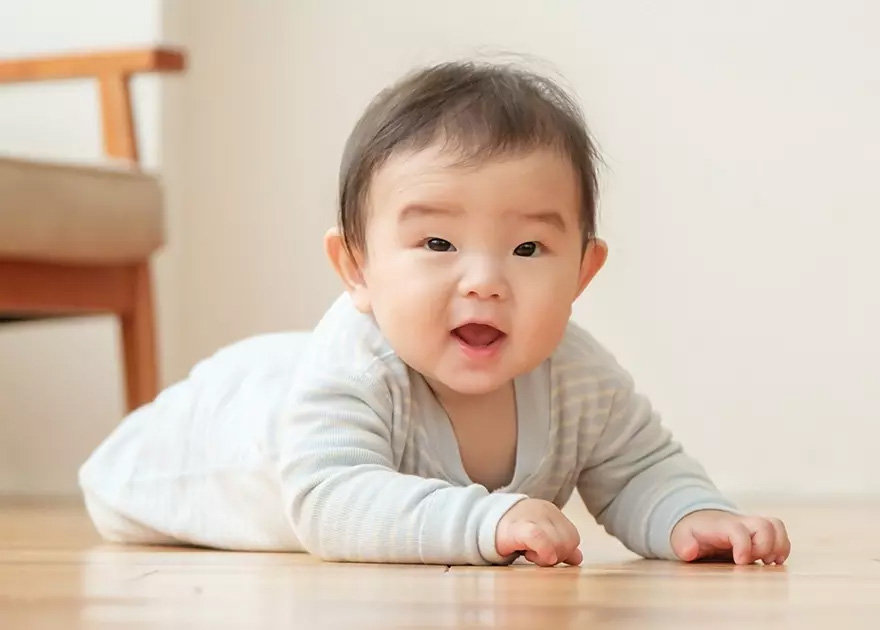 0歳からでも学べる