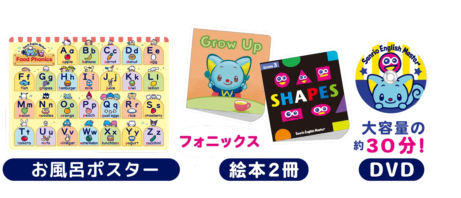 無料DVDセット