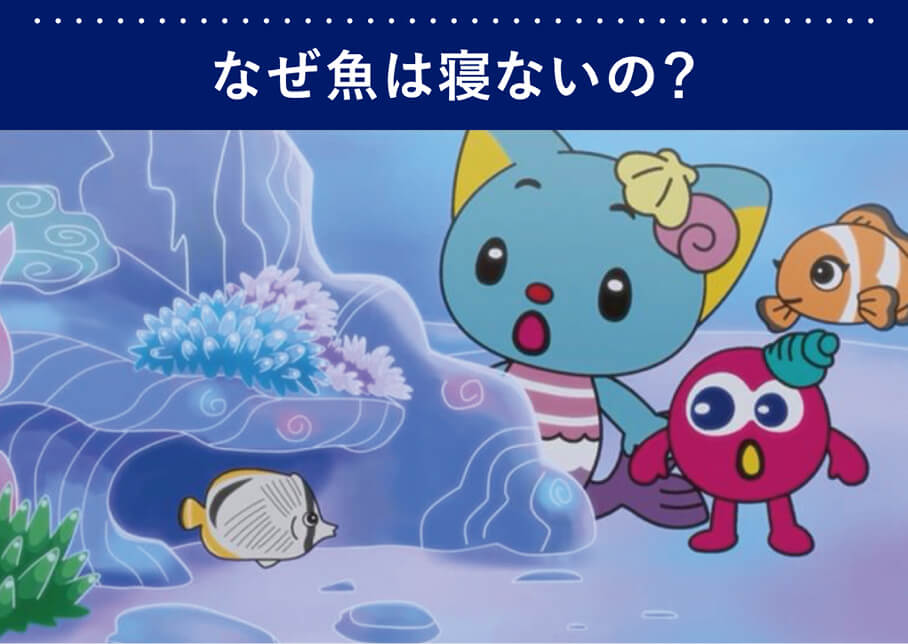 3～4歳児から始める英語学習 - 英語教材サンリオイングリッシュマスター